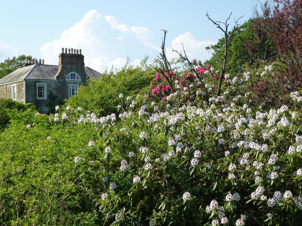 Chipperkyle Country House B&B Kirkpatrick Durham Buitenkant foto